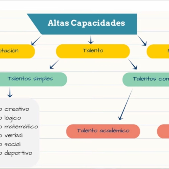 Los tipos de Altas Capacidades